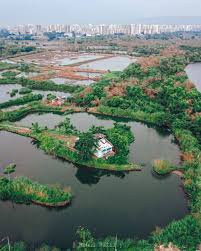 Kamothe Lake in Kamothe